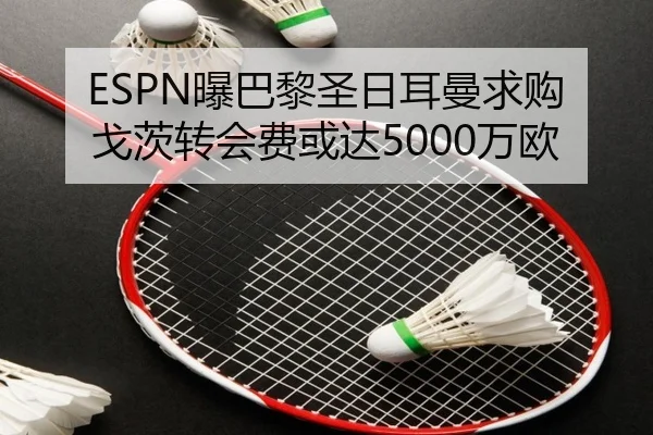 ESPN曝巴黎圣日耳曼求购戈茨转会费或达5000万欧